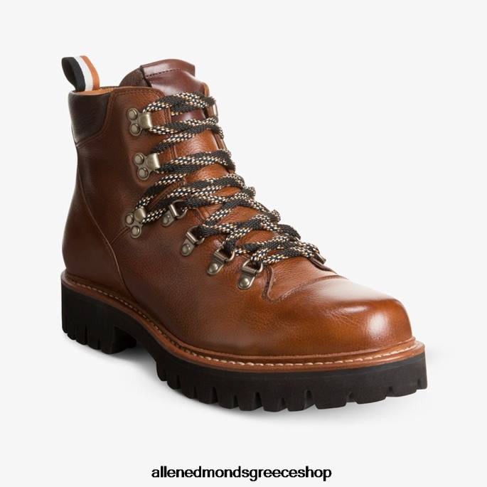 άνδρες Allen Edmonds aspen hiker αδιάβροχη μπότα ωτίδας μαύρισμα κόκκος DFSD574