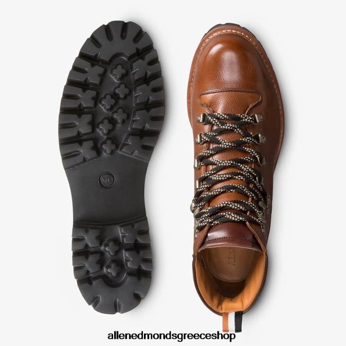 άνδρες Allen Edmonds aspen hiker αδιάβροχη μπότα ωτίδας μαύρισμα κόκκος DFSD574