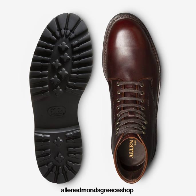 άνδρες Allen Edmonds Αδιάβροχη μπότα higgins mill με σόλα Βουργουνδία DFSD5261