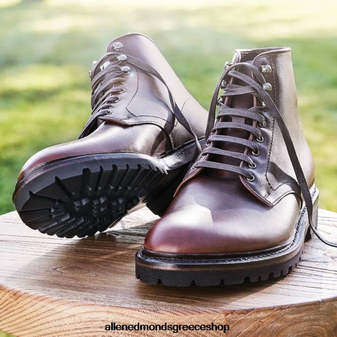 άνδρες Allen Edmonds Αδιάβροχη μπότα higgins mill με σόλα Βουργουνδία DFSD5261