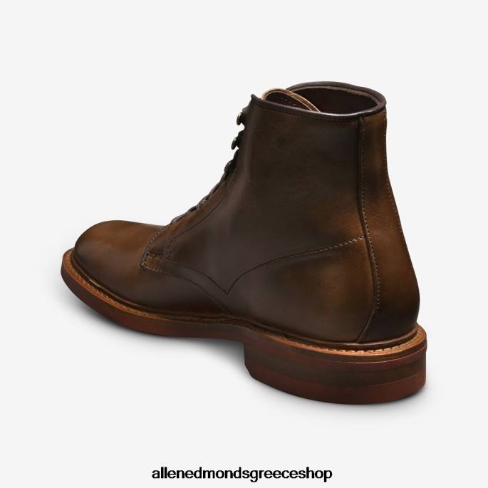 άνδρες Allen Edmonds Αδιάβροχη μπότα higgins mill με δέρμα chromexcel φυσικό δέρμα chromexcel DFSD537