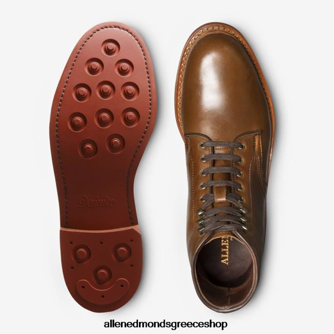 άνδρες Allen Edmonds Αδιάβροχη μπότα higgins mill με δέρμα chromexcel φυσικό δέρμα chromexcel DFSD537