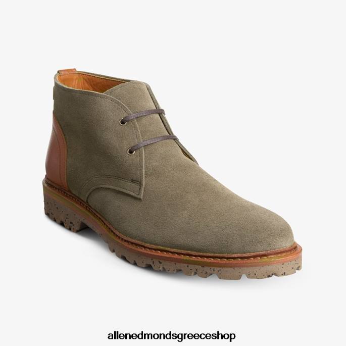 άνδρες Allen Edmonds ανακάλυψη μπότα τσούκα γαρύφαλλο σουέτ DFSD5347