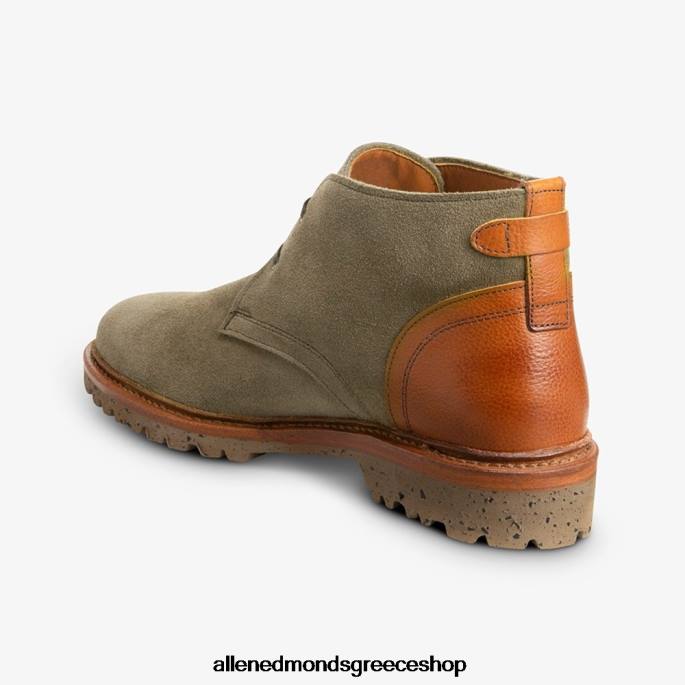 άνδρες Allen Edmonds ανακάλυψη μπότα τσούκα γαρύφαλλο σουέτ DFSD5347