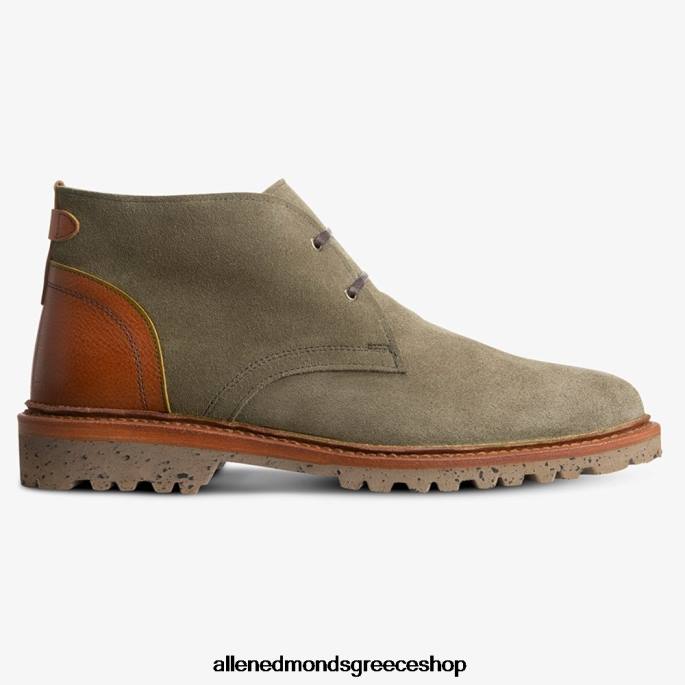 άνδρες Allen Edmonds ανακάλυψη μπότα τσούκα γαρύφαλλο σουέτ DFSD5347